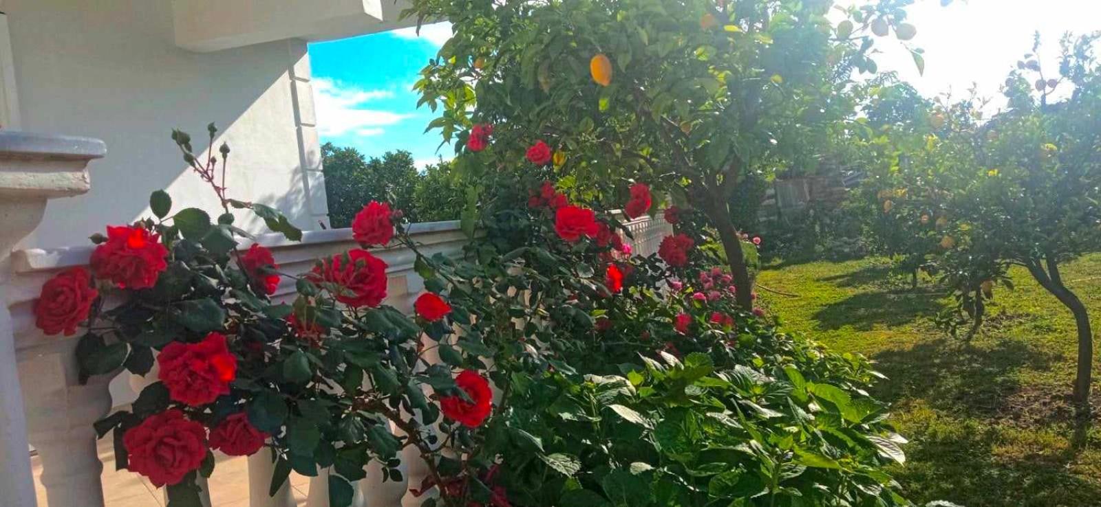 Helen Apartments Люкове Екстер'єр фото